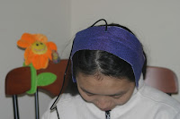 the top of the head band