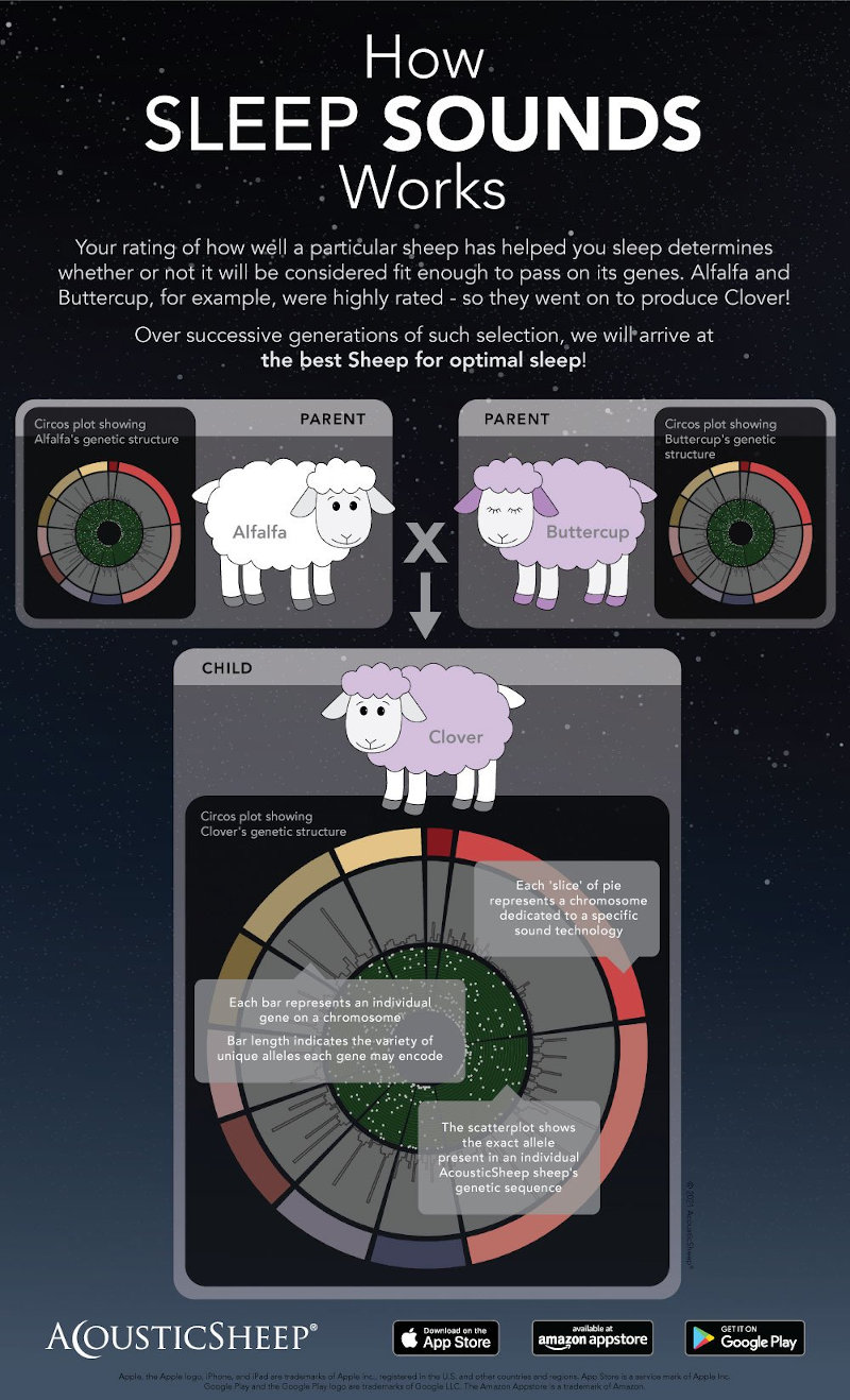 How Sleep Sounds Works to Help You Sleep